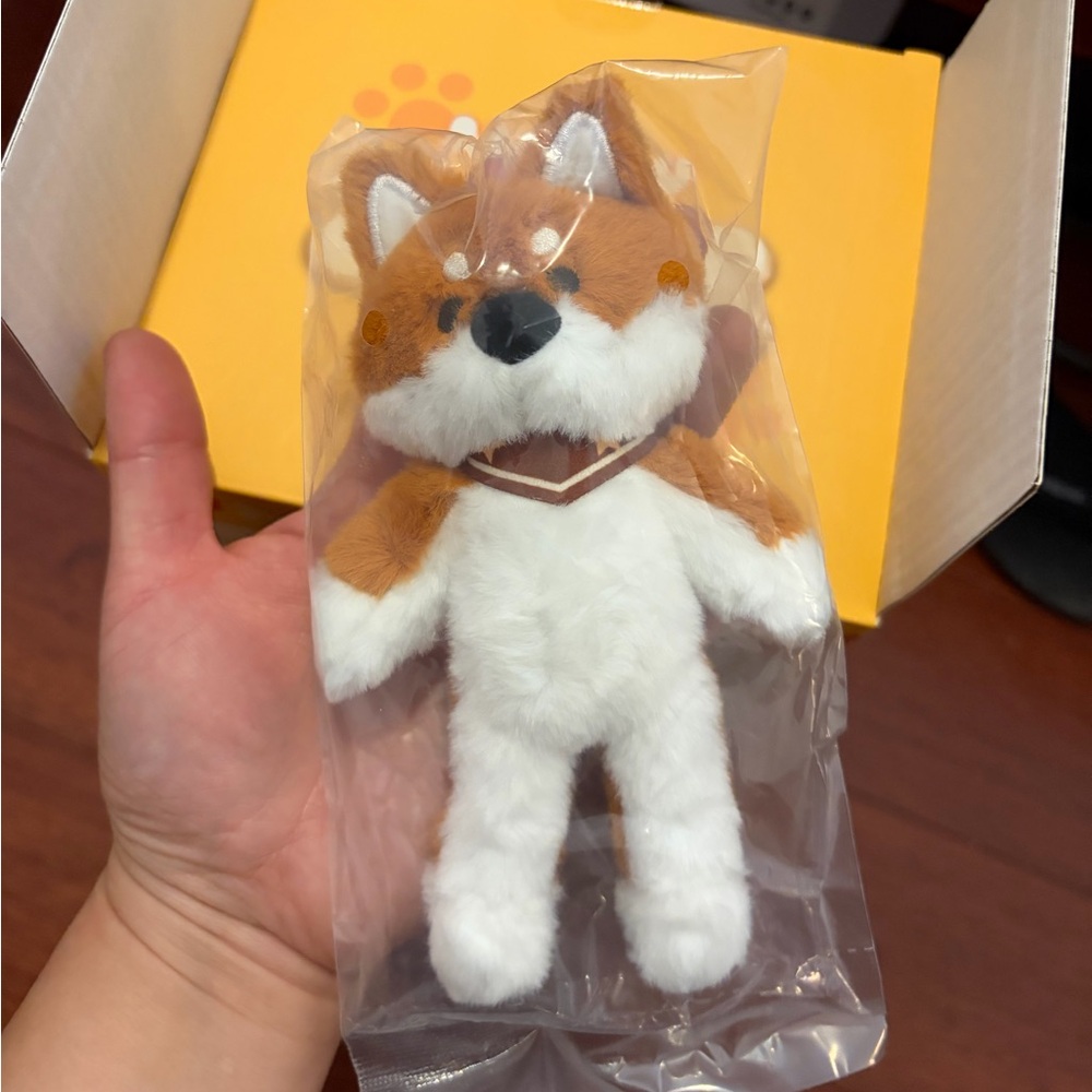 Toy